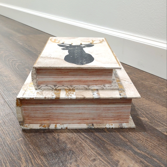 Decorative Book Boxes, Set Of Two, Rustic And Gold - Picture 1 of 12